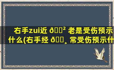 右手zui
近 🌲 老是受伤预示什么(右手经 🌸 常受伤预示什么)